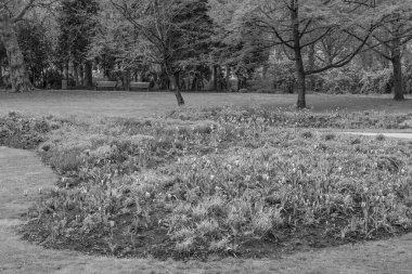 Hollanda 'da Rotterdam