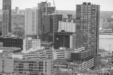 Hollanda 'da Rotterdam