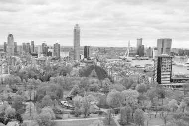 Hollanda 'da Rotterdam