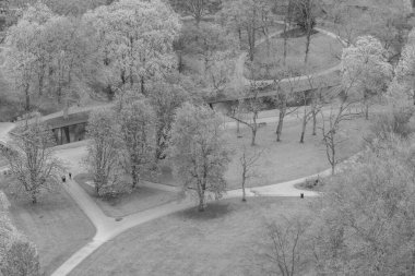 Hollanda 'da Rotterdam