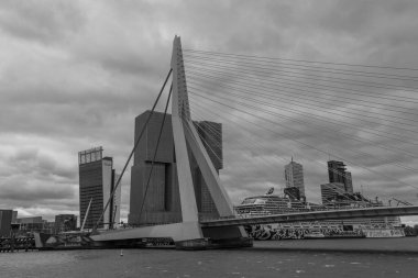 Rotterdam şehri.