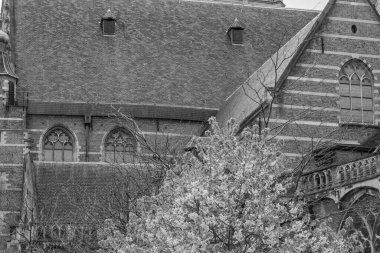 rotterdam city in the netherlands