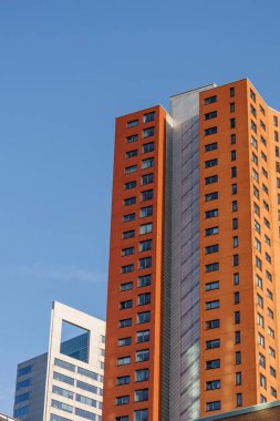 Hollanda 'daki Rotterdam şehri