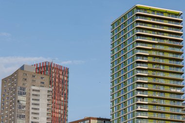 rotterdam city in the netherlands