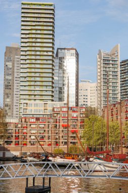 rotterdam city in the netherlands