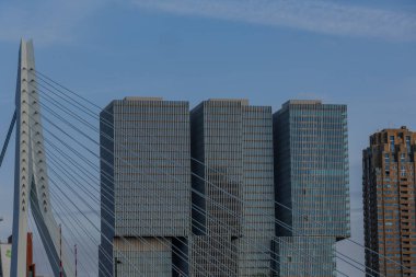 Hollanda 'daki Rotterdam şehri