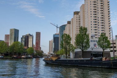 Hollanda 'daki Rotterdam şehri