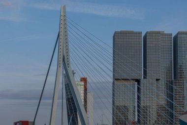 Hollanda 'daki Rotterdam şehri