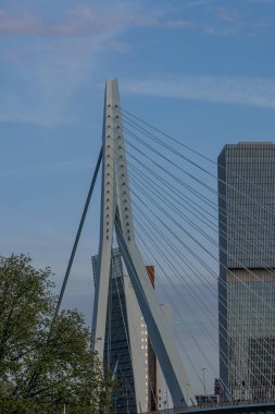 Hollanda 'daki Rotterdam şehri