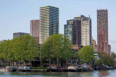 rotterdam city in the netherlands