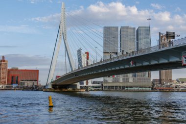 Hollanda 'daki Rotterdam şehri