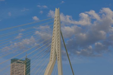 rotterdam city in the netherlands