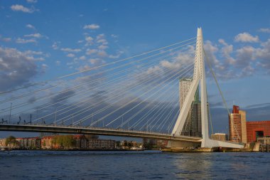 rotterdam city in the netherlands