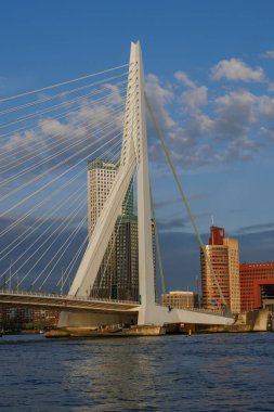 rotterdam city in the netherlands