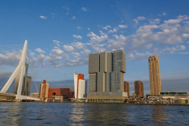 rotterdam city in the netherlands