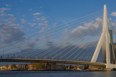 rotterdam city in the netherlands
