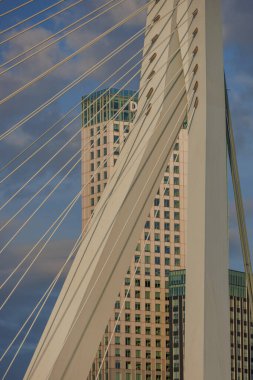 rotterdam city in the netherlands