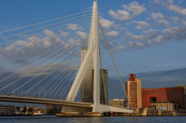 Rotterdam şehri.