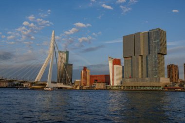 Rotterdam şehri.