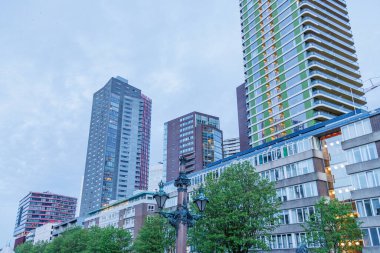 Rotterdam şehri.