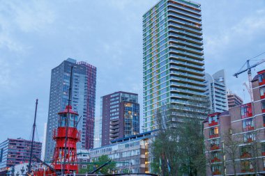Rotterdam şehri.