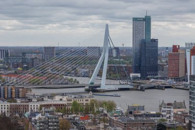 Rotterdam şehri.