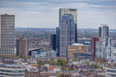 Rotterdam şehri.