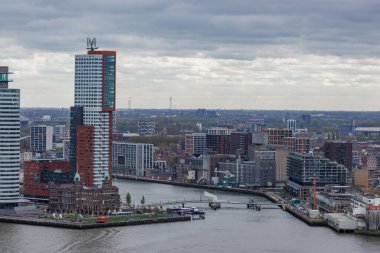 Rotterdam şehri.