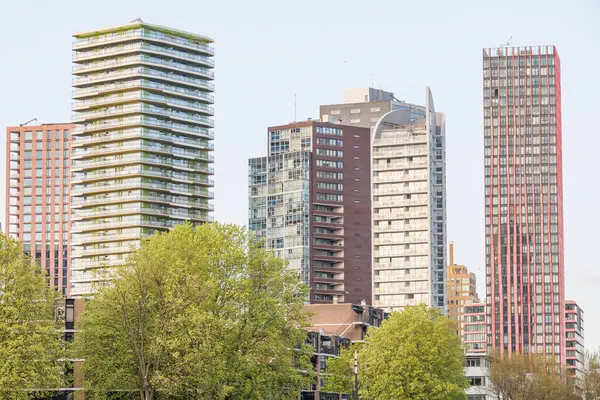 Hollanda 'daki Rotterdam şehri