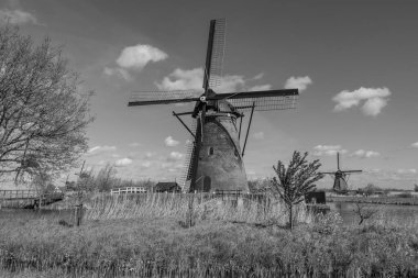 Rotterdam yakınlarındaki nehterlands fabrikaları