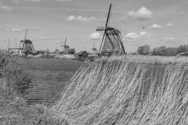 Rotterdam yakınlarındaki nehterlands fabrikaları