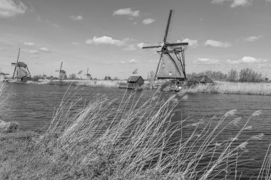 Rotterdam yakınlarındaki nehterlands fabrikaları