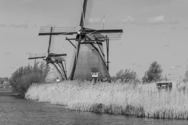 Hollanda 'daki Kinderdijk değirmenleri