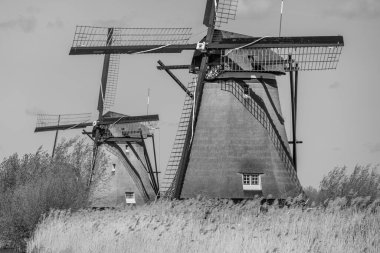 Hollanda 'daki Kinderdijk değirmenleri