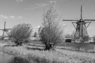 Hollanda 'daki Kinderdijk değirmenleri