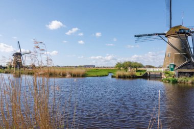 Hollanda 'daki Kinderdijk değirmenleri