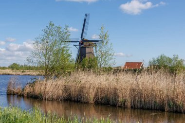 Hollanda 'daki Kinderdijk değirmenleri