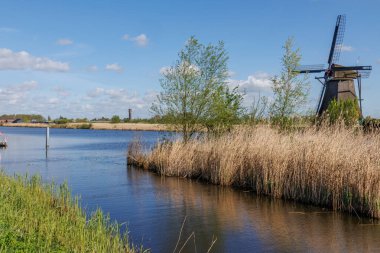 Hollanda 'daki Kinderdijk değirmenleri
