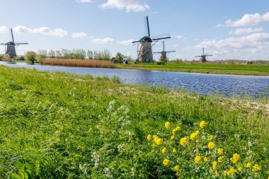 Hollanda 'daki Kinderdijk değirmenleri