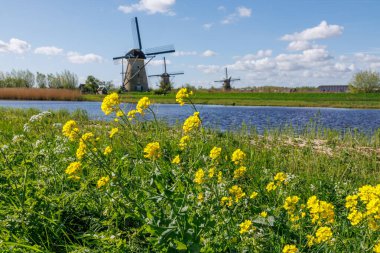 Hollanda 'daki Kinderdijk değirmenleri