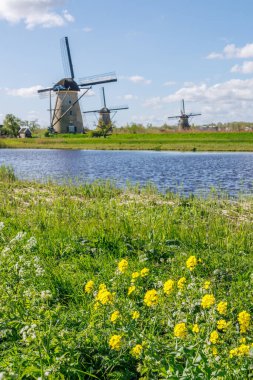 Hollanda 'daki Kinderdijk değirmenleri