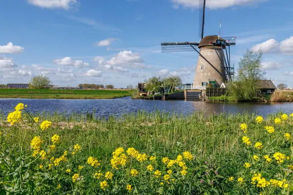 Hollanda 'daki Kinderdijk değirmenleri