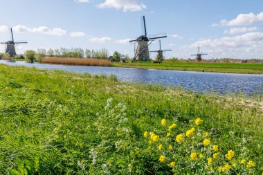 Hollanda 'daki Kinderdijk değirmenleri