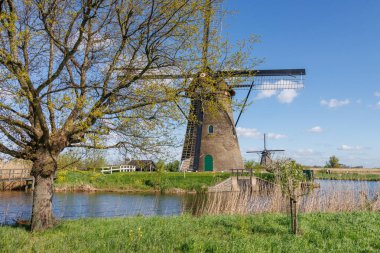 Hollanda 'daki Kinderdijk değirmenleri