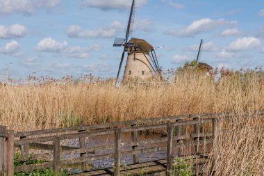 Hollanda 'daki Kinderdijk değirmenleri