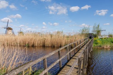 Hollanda 'daki Kinderdijk değirmenleri