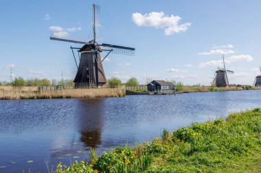 Hollanda 'daki Kinderdijk değirmenleri