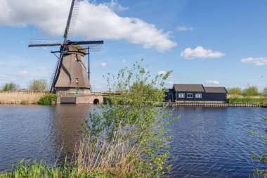Hollanda 'daki Kinderdijk değirmenleri