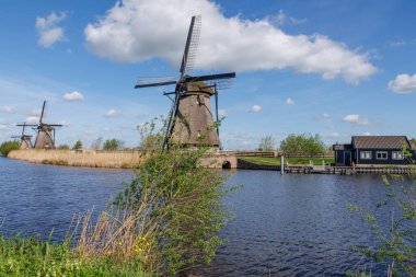 Hollanda 'daki Kinderdijk değirmenleri