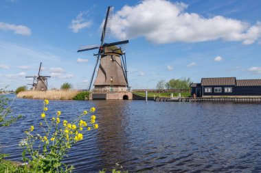 Hollanda 'daki Kinderdijk değirmenleri